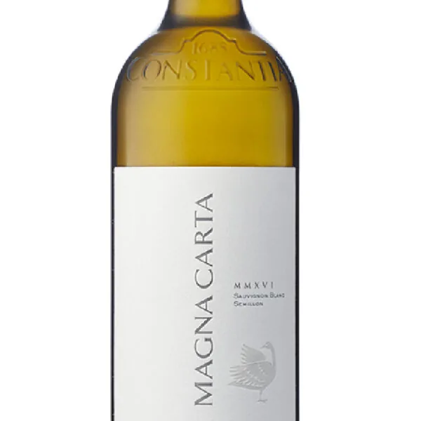 STEENBERG - MAGNA CARTA 2017