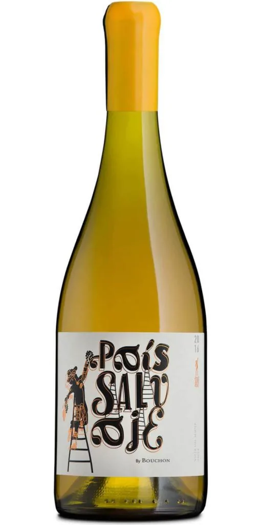 Bouchon Pais Salvaje Blanco 2019 – láhev