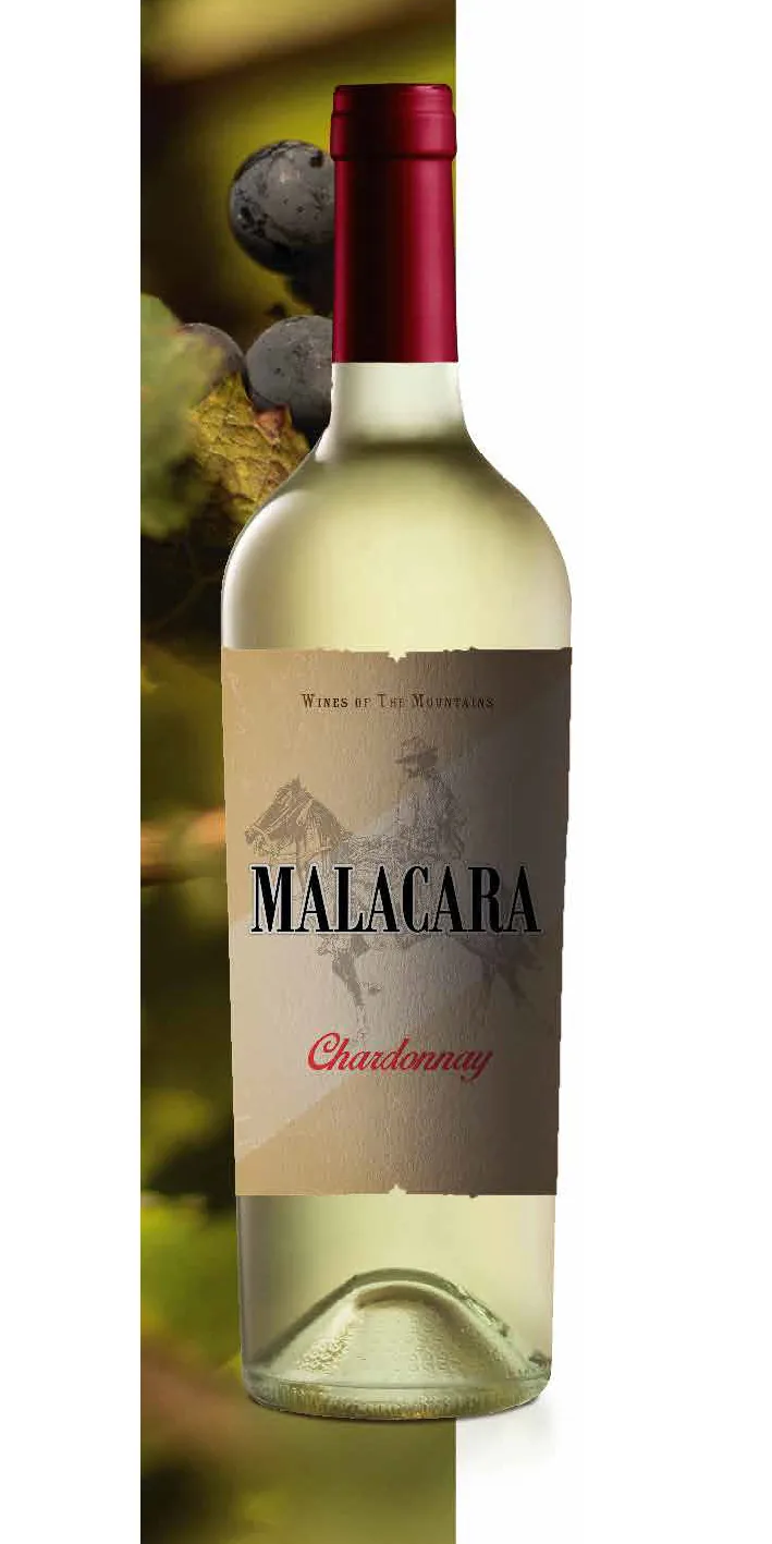 malacara Chardonay