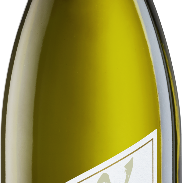 Pfaffl PRIMO Grüner Veltliner 0% – produktová fotografie