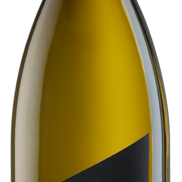 Pfaffl VOM HAUS Grüner Veltliner