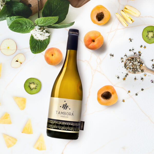 Viña Costeira Tamborá Godello DO Ribeiro 2024
